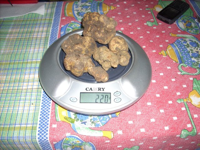 2012_11_26 2